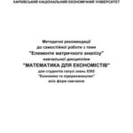 خرید و دانلود نسخه کامل کتاب Елементи матричного аналізу