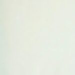 خرید و دانلود نسخه کامل کتاب Тарас Бульба.