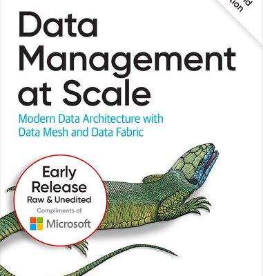 خرید و دانلود نسخه کامل کتاب Data Management at Scale