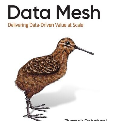 خرید و دانلود نسخه کامل کتاب Data Mesh: Delivering Data-Driven Value at Scale