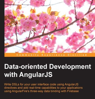 خرید و دانلود نسخه کامل کتاب Data-oriented Development with AngularJS