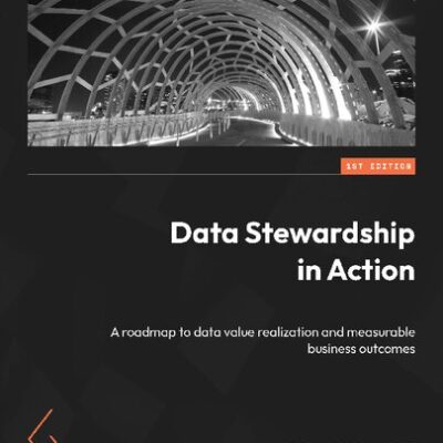 خرید و دانلود نسخه کامل کتاب Data Stewardship in Action: A roadmap to Data Value Realization and Measurable Business Outcomes