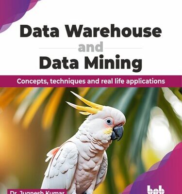 خرید و دانلود نسخه کامل کتاب Data Warehouse and Data Mining: Concepts, techniques and real life applications