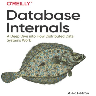 خرید و دانلود نسخه کامل کتاب Database Internals: A deep-dive into how distributed data systems work