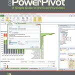 خرید و دانلود نسخه کامل کتاب DAX Formulas for PowerPivot: A Simple Guide to the Excel Revolution