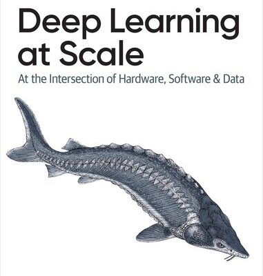 خرید و دانلود نسخه کامل کتاب Deep Learning at Scale: At the Intersection of Hardware, Software, and Data