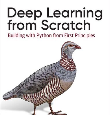 خرید و دانلود نسخه کامل کتاب Deep Learning from Scratch: Building with Python from First Principles
