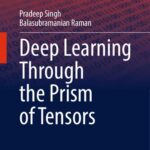 خرید و دانلود نسخه کامل کتاب Deep Learning Through the Prism of Tensors