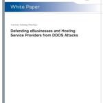 خرید و دانلود نسخه کامل کتاب Defending eBusinesses and Hosting Service Providers from DDOS Attacks