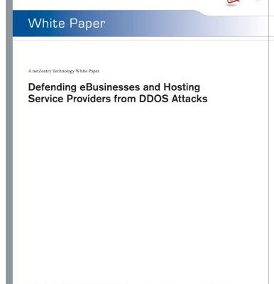 خرید و دانلود نسخه کامل کتاب Defending eBusinesses and Hosting Service Providers from DDOS Attacks