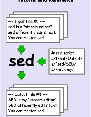 خرید و دانلود نسخه کامل کتاب Definitive Guide to sed: Tutorial and Reference