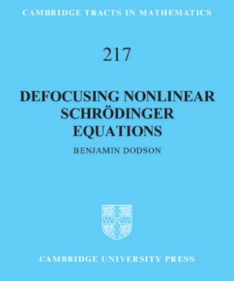 خرید و دانلود نسخه کامل کتاب Defocusing Nonlinear Schrodinger Equations