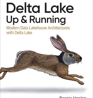 خرید و دانلود نسخه کامل کتاب Delta Lake: Up and Running: Modern Data Lakehouse Architectures with Delta Lake