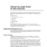 خرید و دانلود نسخه کامل کتاب Designing Large-Scal IP Internetworks