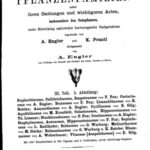 خرید و دانلود نسخه کامل کتاب Die natürlichen PFLANZENFAMILIEN. Euphorbiaceae