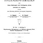 خرید و دانلود نسخه کامل کتاب Die natürlichen PFLANZENFAMILIEN. Phytolaccaceae