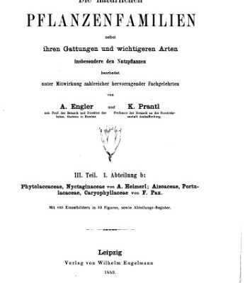 خرید و دانلود نسخه کامل کتاب Die natürlichen PFLANZENFAMILIEN. Phytolaccaceae