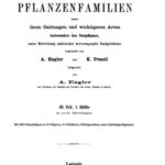 خرید و دانلود نسخه کامل کتاب Die natürlichen PFLANZENFAMILIEN. Saururaceae