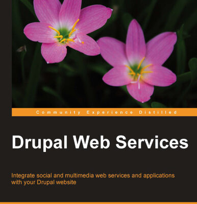 خرید و دانلود نسخه کامل کتاب Drupal Web Services