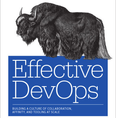 خرید و دانلود نسخه کامل کتاب Effective DevOps: Building a Culture of Collaboration, Affinity, and Tooling at Scale