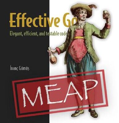 خرید و دانلود نسخه کامل کتاب Effective Go (MEAP V04)