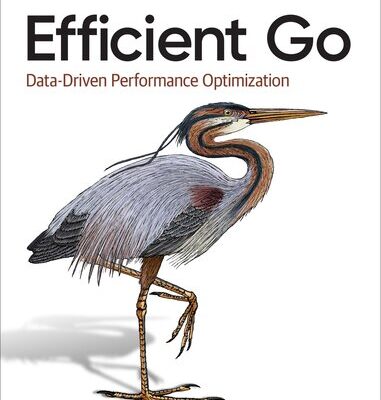 خرید و دانلود نسخه کامل کتاب Efficient Go: Data-Driven Performance Optimization