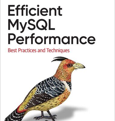 خرید و دانلود نسخه کامل کتاب Efficient MySQL Performance: Best Practices and Techniques
