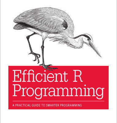 خرید و دانلود نسخه کامل کتاب Efficient R Programming: A Practical Guide to Smarter Programming