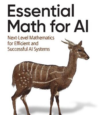 خرید و دانلود نسخه کامل کتاب Essential Math for AI: Next-Level Mathematics for Efficient and Successful AI Systems