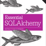 خرید و دانلود نسخه کامل کتاب Essential SQLAlchemy, 2nd Edition: Mapping Python to Databases