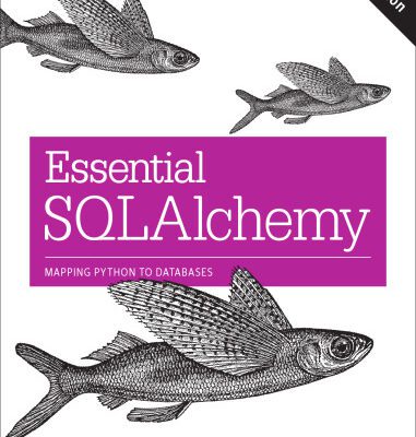 خرید و دانلود نسخه کامل کتاب Essential SQLAlchemy, 2nd Edition: Mapping Python to Databases