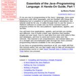 خرید و دانلود نسخه کامل کتاب Essentials of the Java Programming Language: A Hands-On Guide