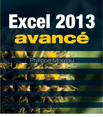 خرید و دانلود نسخه کامل کتاب Excel 2013 avancé : Guide de formation avec cas pratiques