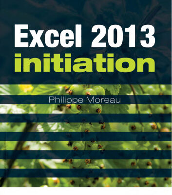 خرید و دانلود نسخه کامل کتاب Excel 2013 initiation : Guide de formation avec exercices et cas pratiques