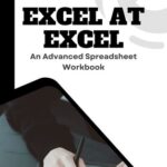 خرید و دانلود نسخه کامل کتاب Excel at Excel: An Advanced Spreadsheet Workbook