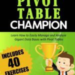 خرید و دانلود نسخه کامل کتاب Excel Pivot Table Champion