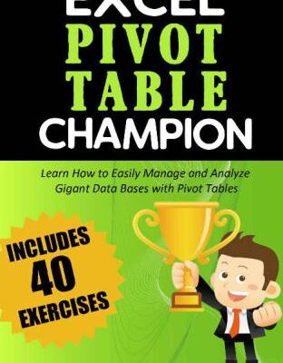 خرید و دانلود نسخه کامل کتاب Excel Pivot Table Champion