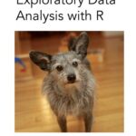 خرید و دانلود نسخه کامل کتاب Exploratory Data Analysis with R