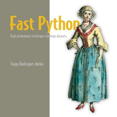 خرید و دانلود نسخه کامل کتاب Fast Python: High performance techniques for large datasets