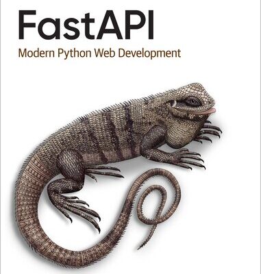 خرید و دانلود نسخه کامل کتاب FastAPI: Modern Python Web Development (Final)