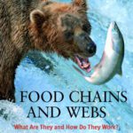 خرید و دانلود نسخه کامل کتاب Food Chains and Webs: What Are They And How Do They Work? (Let’s Explore Science)