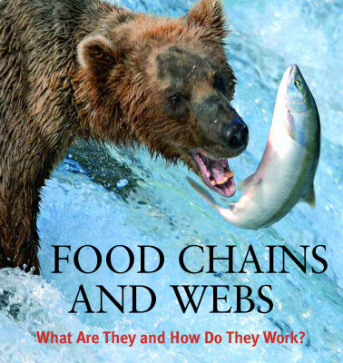 خرید و دانلود نسخه کامل کتاب Food Chains and Webs: What Are They And How Do They Work? (Let’s Explore Science)
