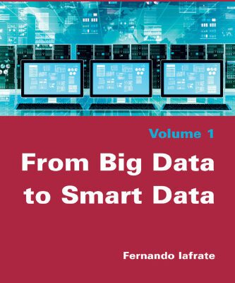خرید و دانلود نسخه کامل کتاب From Big Data to Smart Data