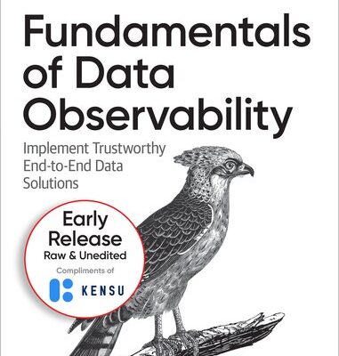 خرید و دانلود نسخه کامل کتاب Fundamentals of Data Observability (5th Early Release)