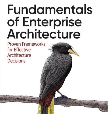 خرید و دانلود نسخه کامل کتاب Fundamentals of Enterprise Architecture