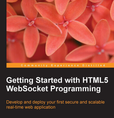 خرید و دانلود نسخه کامل کتاب Getting Started with HTML5 WebSocket Programming