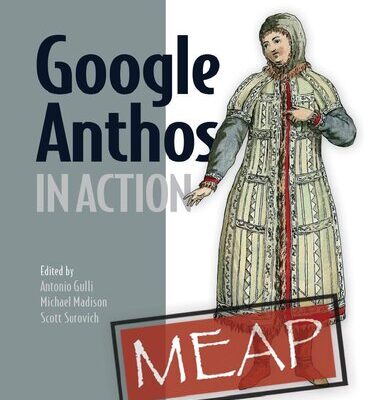 خرید و دانلود نسخه کامل کتاب Google Anthos in Action (MEAP V13)