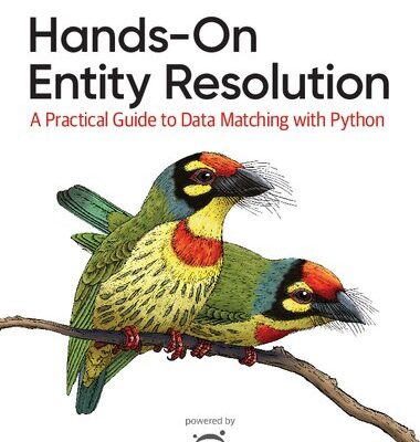 خرید و دانلود نسخه کامل کتاب Hands-On Entity Resolution: A Practical Guide to Data Matching With Python