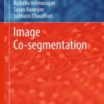 خرید و دانلود نسخه کامل کتاب Image Co-segmentation