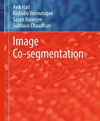 خرید و دانلود نسخه کامل کتاب Image Co-segmentation